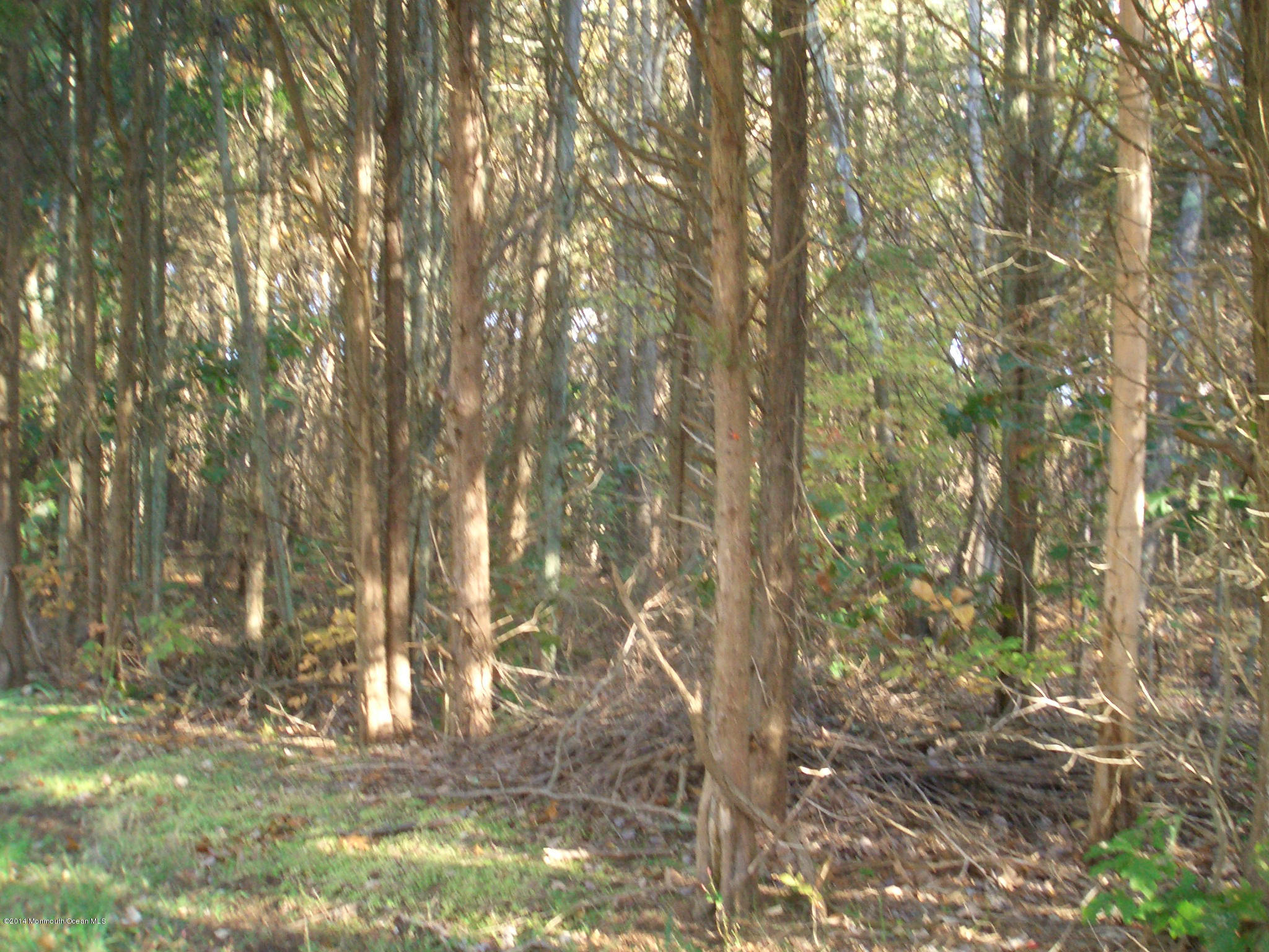 0 Emley's Hill Road Cream Ridge, NJ 08514 - Photo 2 of 7 CIMG2287