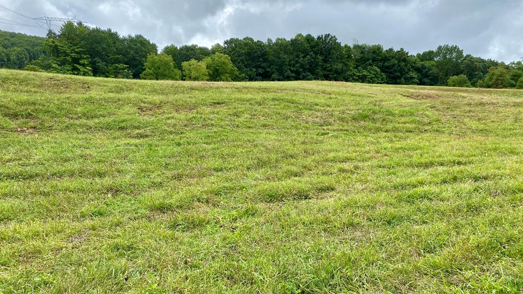 Tbd Castleton Road, Unit 62110 Max Meadows, VA 24360 - Photo 34 of 37 Gallery Image 34