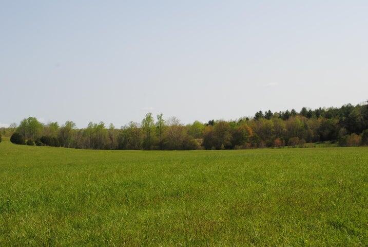 404 Robin Ridge Road Rocky Mount, VA 24151 - Photo 12 of 56 a view of field with trees in the background