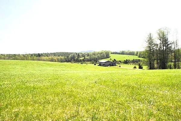 a view of a field with an trees