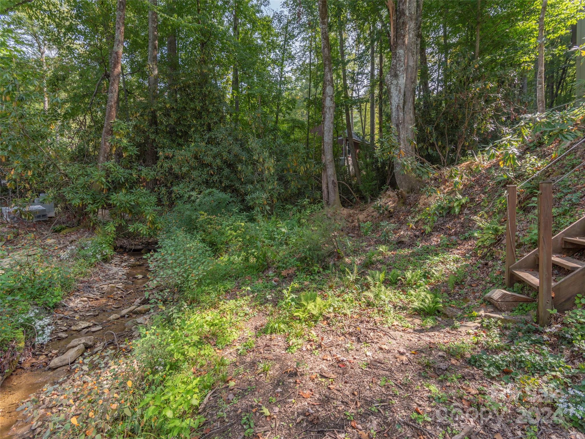 183 Reuben Branch Road Maggie Valley, NC 28751 - Photo 23 of 29 a view of a forest filled with trees