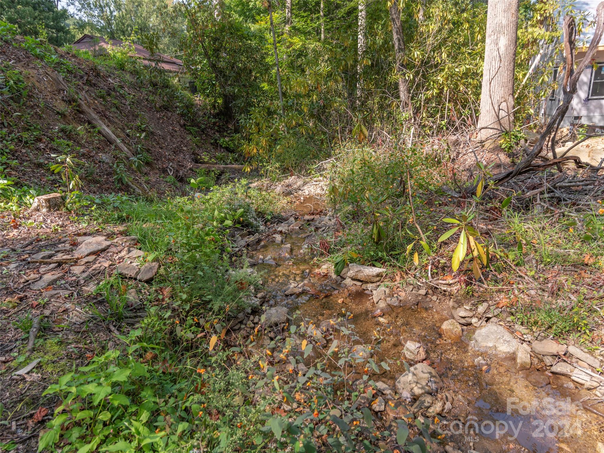 183 Reuben Branch Road Maggie Valley, NC 28751 - Photo 25 of 29 a plant view with yard