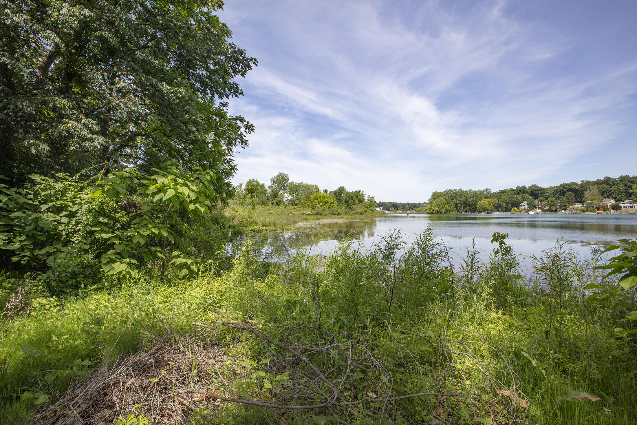69951 Sunset Boulevard Union, MI 49130 - Photo 5 of 13 0D6A7786
