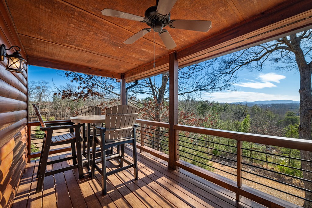 196 South Williamstown Ridge Mineral Bluff, GA 30559 - Photo 11 of 45