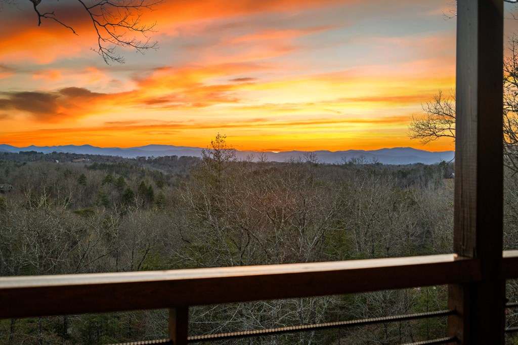 196 South Williamstown Ridge Mineral Bluff, GA 30559 - Photo 13 of 45