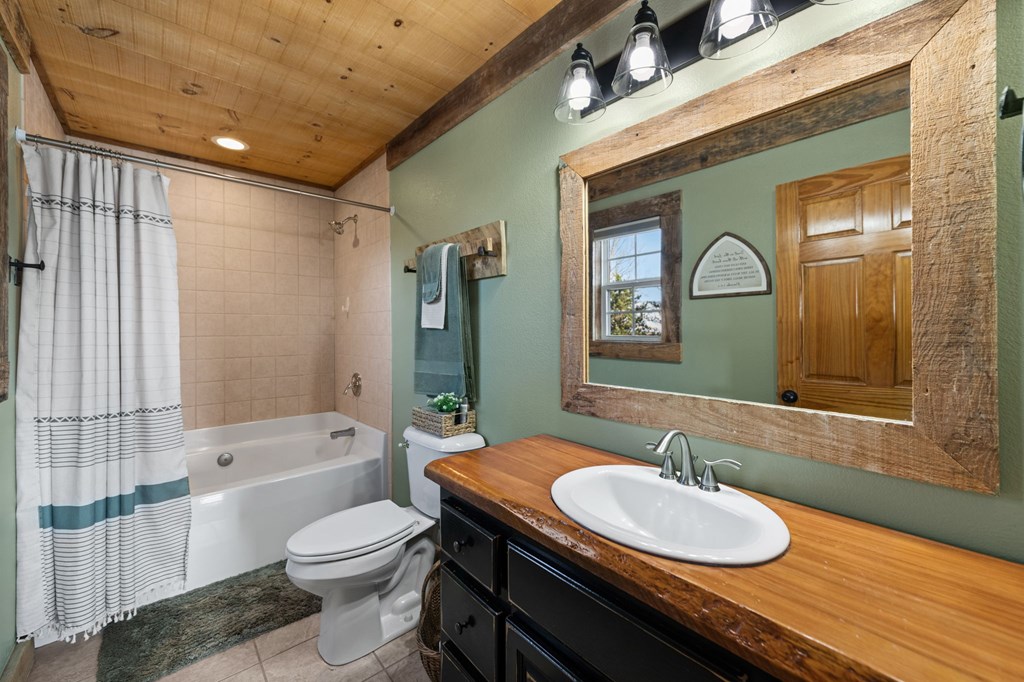 196 South Williamstown Ridge Mineral Bluff, GA 30559 - Photo 29 of 45