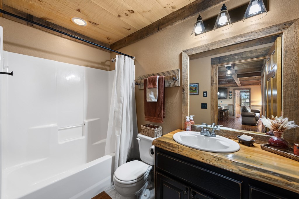 196 South Williamstown Ridge Mineral Bluff, GA 30559 - Photo 33 of 45