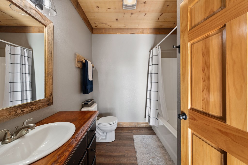 196 South Williamstown Ridge Mineral Bluff, GA 30559 - Photo 41 of 45