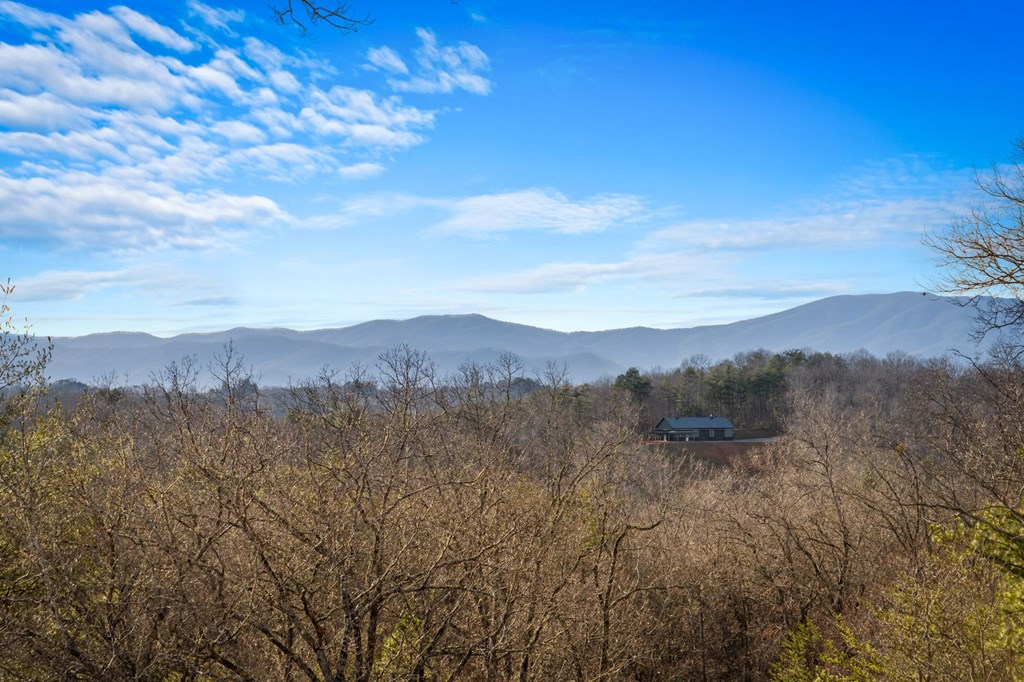 196 South Williamstown Ridge Mineral Bluff, GA 30559 - Photo 45 of 45