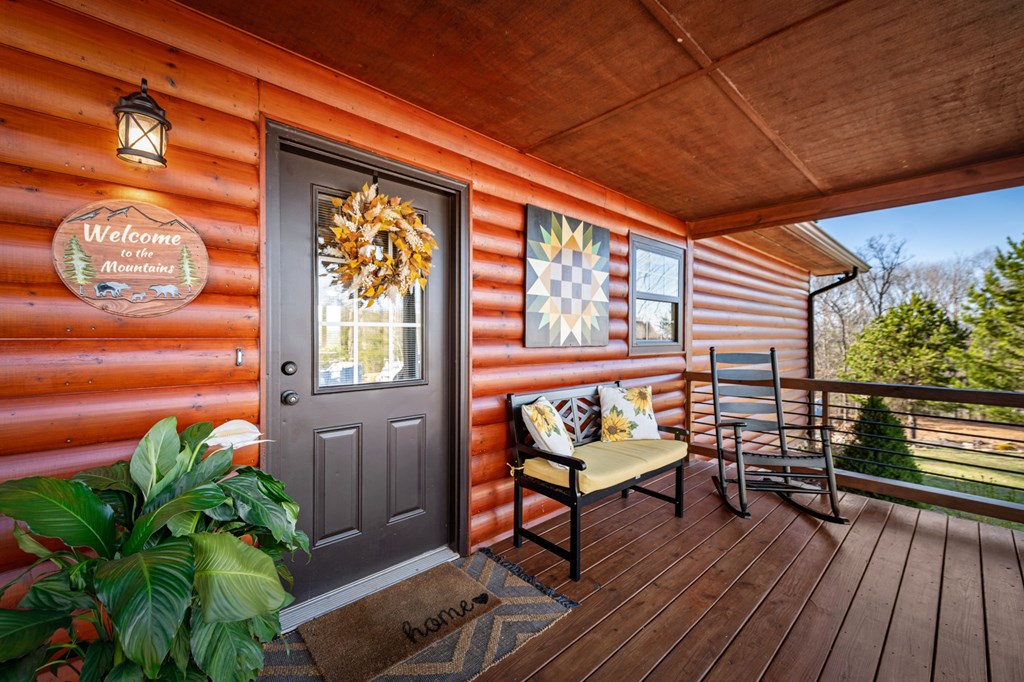 196 South Williamstown Ridge Mineral Bluff, GA 30559 - Photo 8 of 45