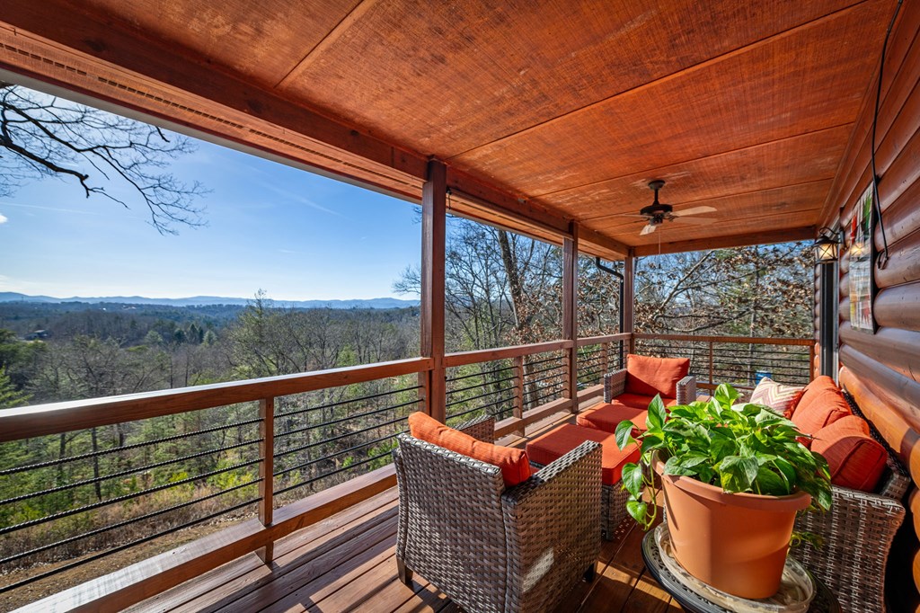 196 South Williamstown Ridge Mineral Bluff, GA 30559 - Photo 10 of 45