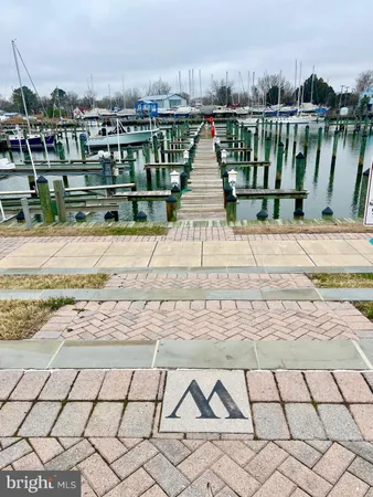 a view of a terrace with trees