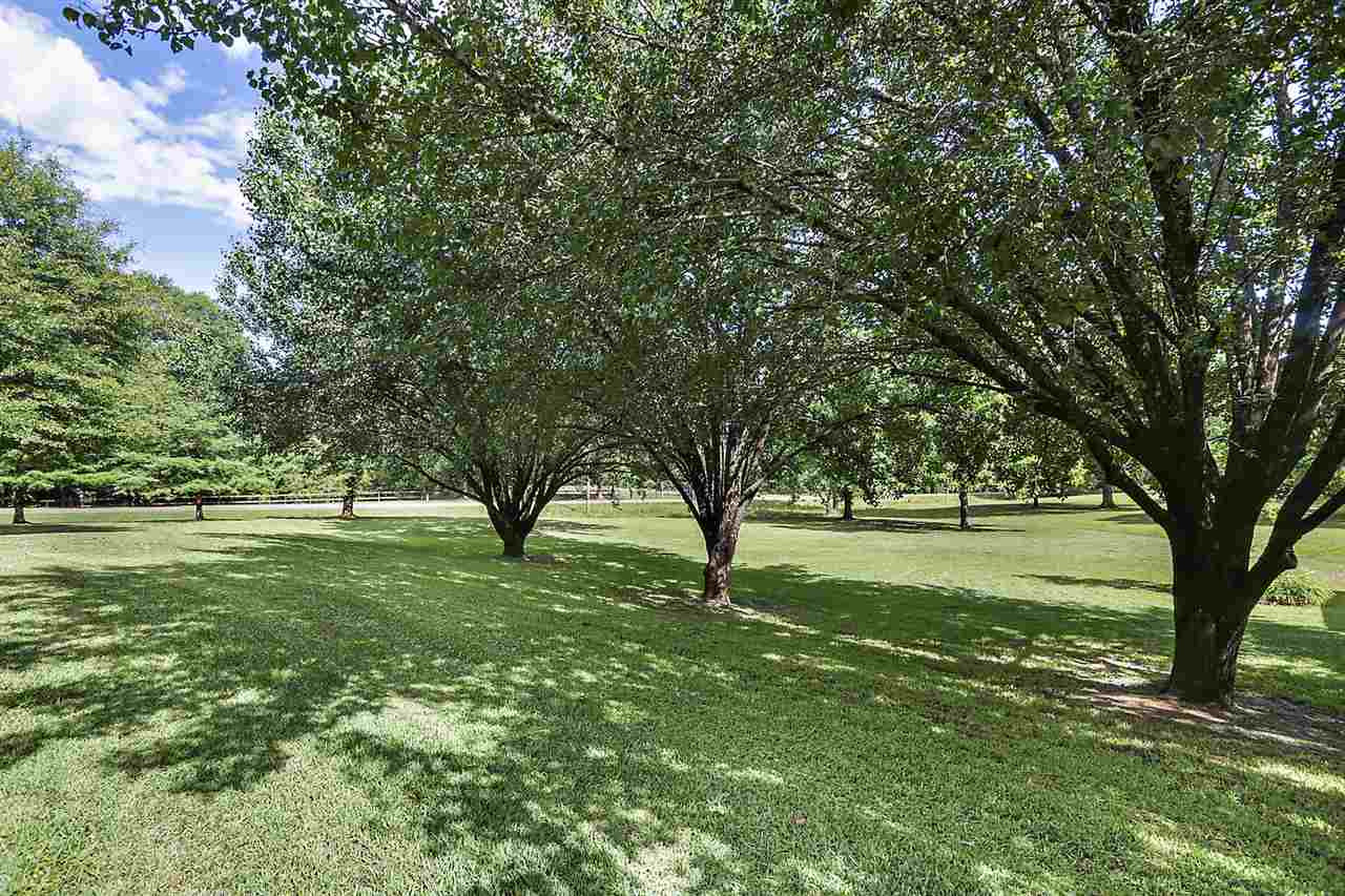 100 Spring Valley Drive Raymond, MS 39154 - Photo 29 of 42 Photo 30