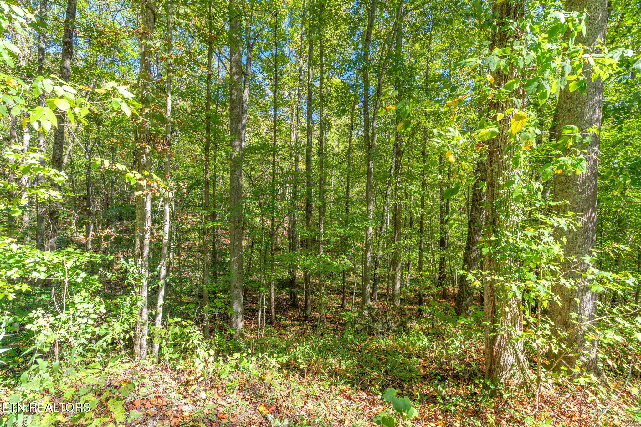 Tunnel Hill Road Harriman, TN 37748 - Photo 11 of 23 8-web-or-mls-Tunnel Hill Road-9