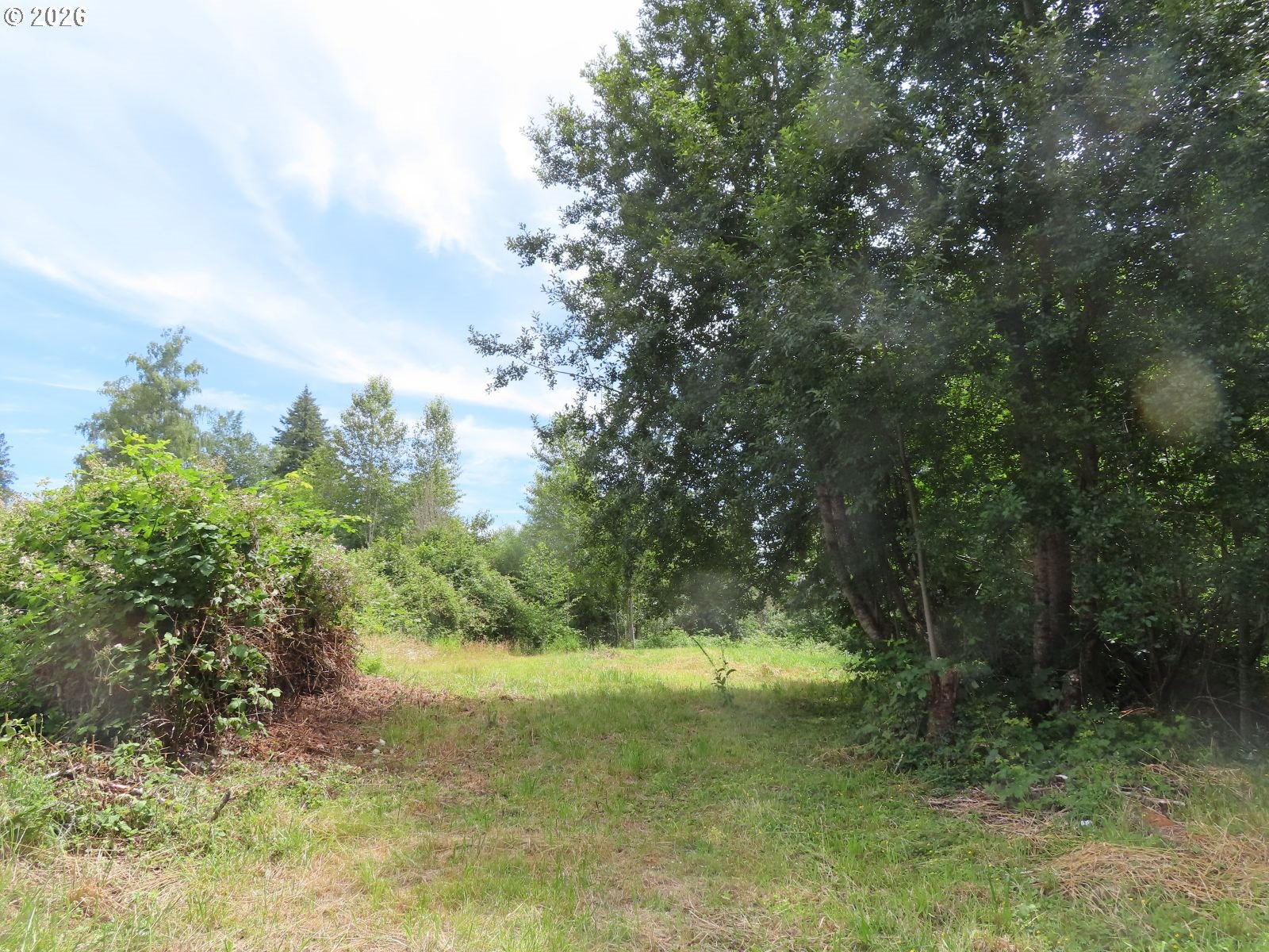 Coleman Road Mossyrock, WA 98564 - Photo 11 of 22