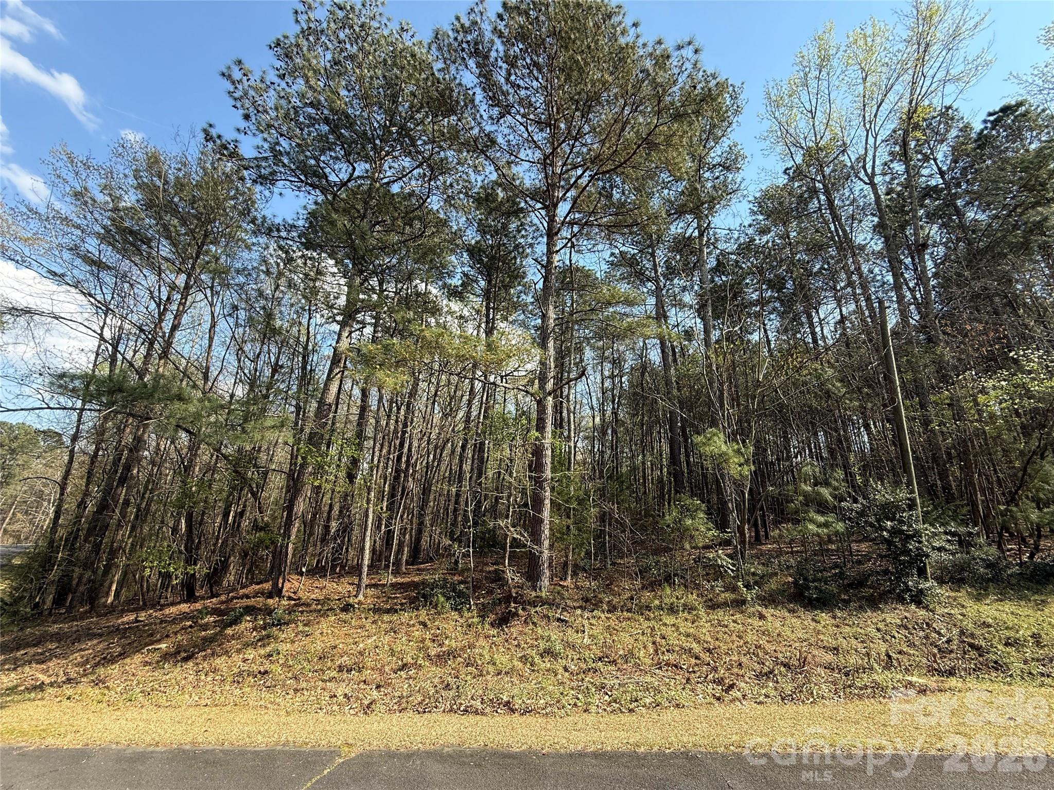 Tbd East Goldmine Road Wadesboro, NC 28170 - Photo 2 of 6