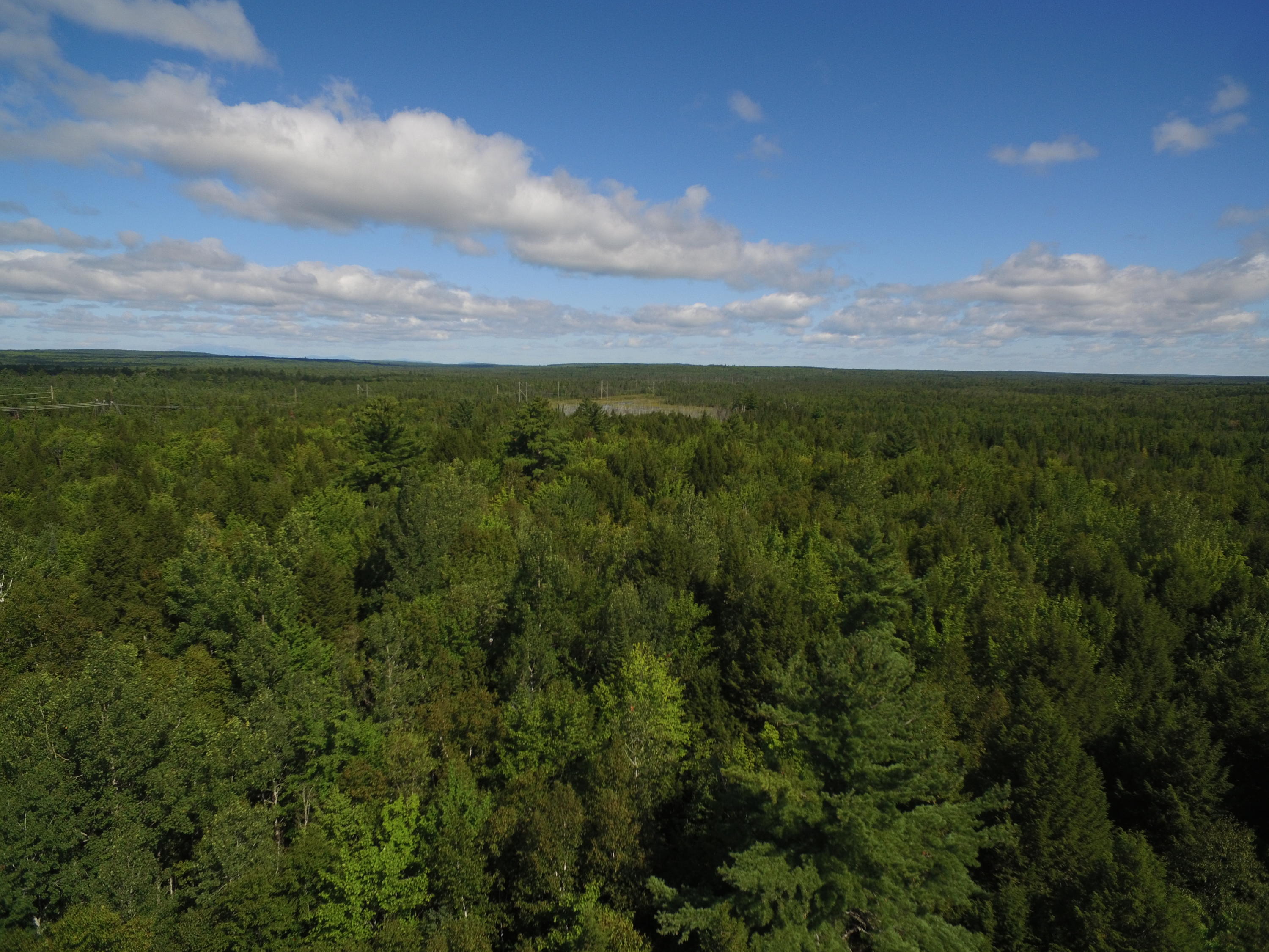 13 Map Road Lincoln, ME 04457 - Photo 2 of 6 DJI_0155
