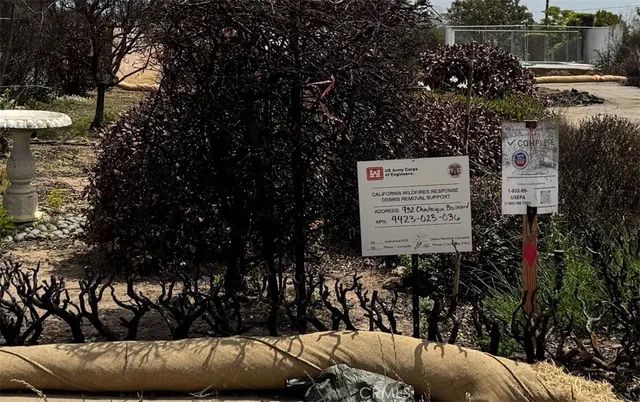 a view of a bench in a backyard