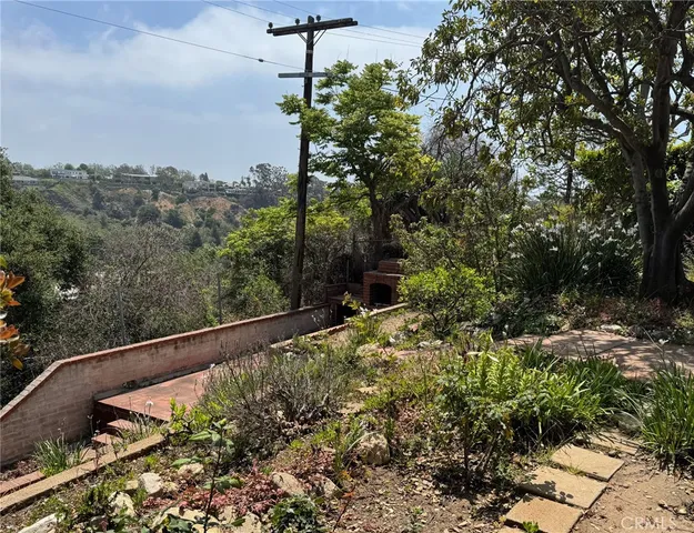 a view of a backyard with plants
