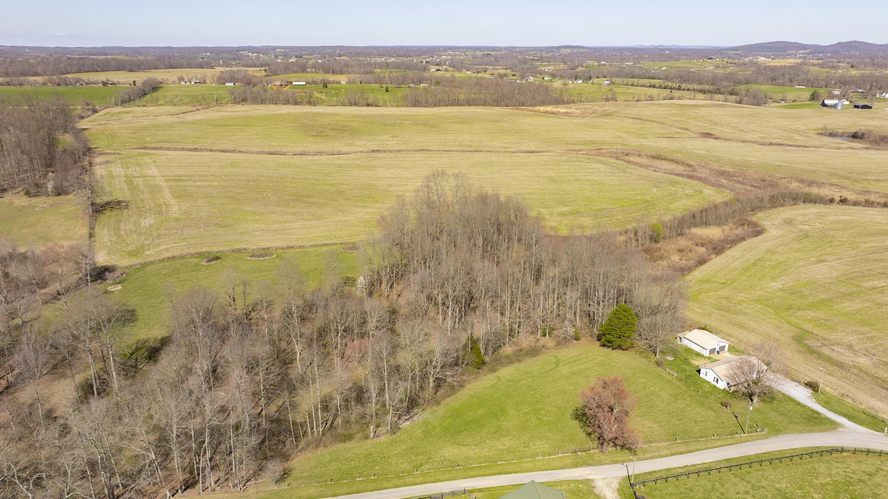 360 Brown-Colyer Road Eubank, KY 42567 - Photo 5 of 42 360 Brown Colyer-5