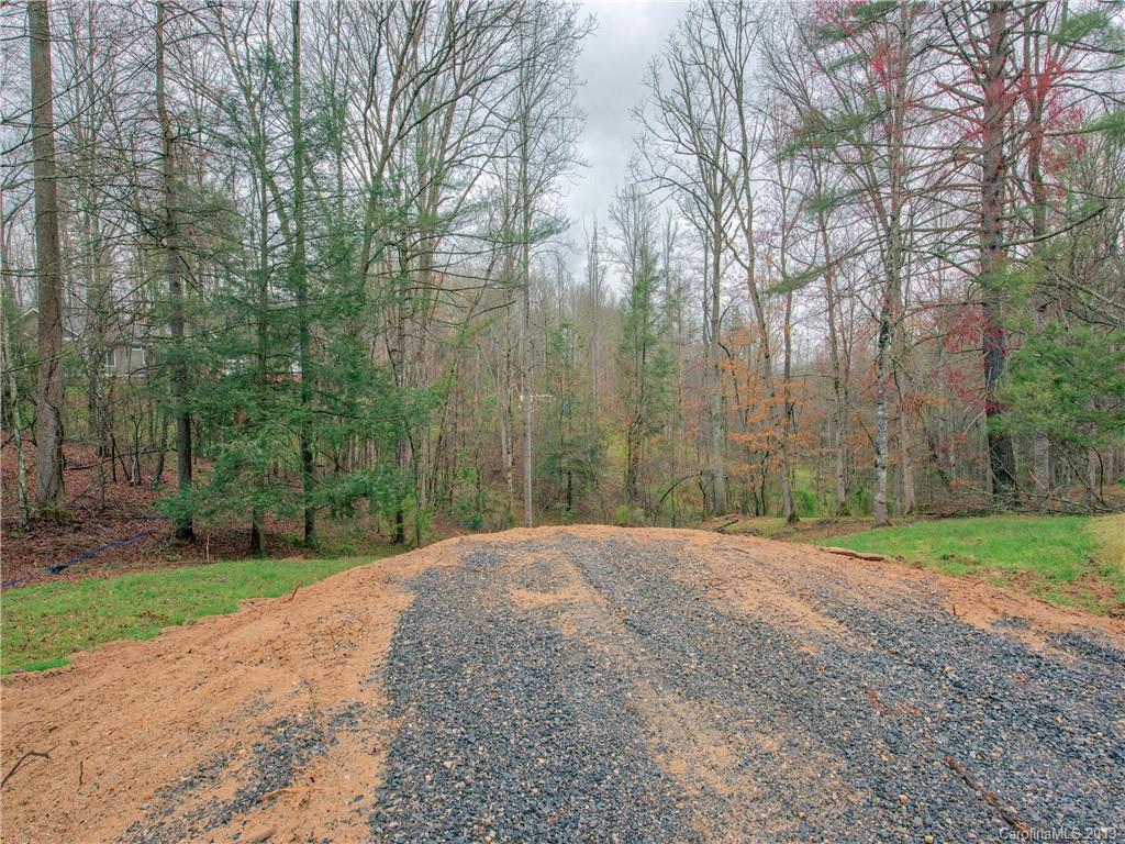 24 Thistle Ridge Clyde, NC 28721 - Photo 6 of 18 a view of a yard with a trees