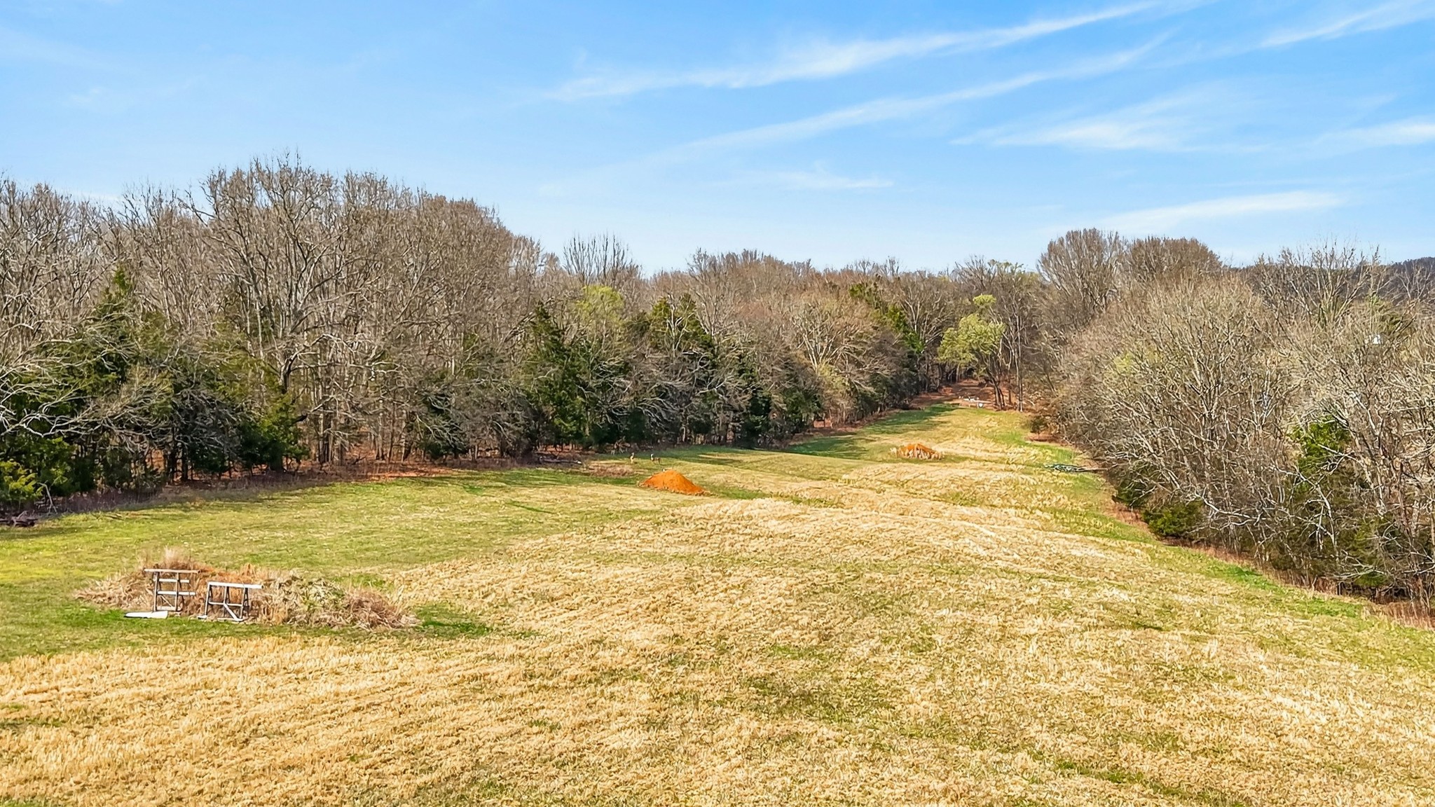 1289 Old Hopewell Road Bethpage, TN 37022 - Photo 38 of 57