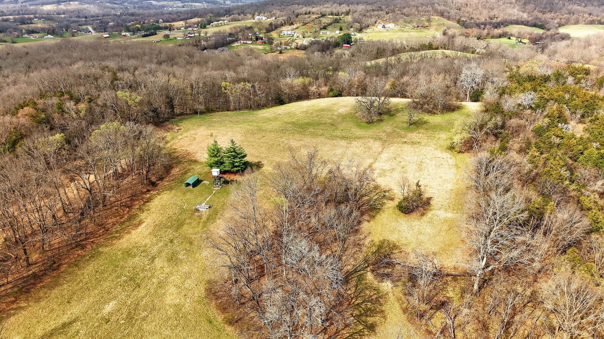 1289 Old Hopewell Road Bethpage, TN 37022 - Photo 41 of 57