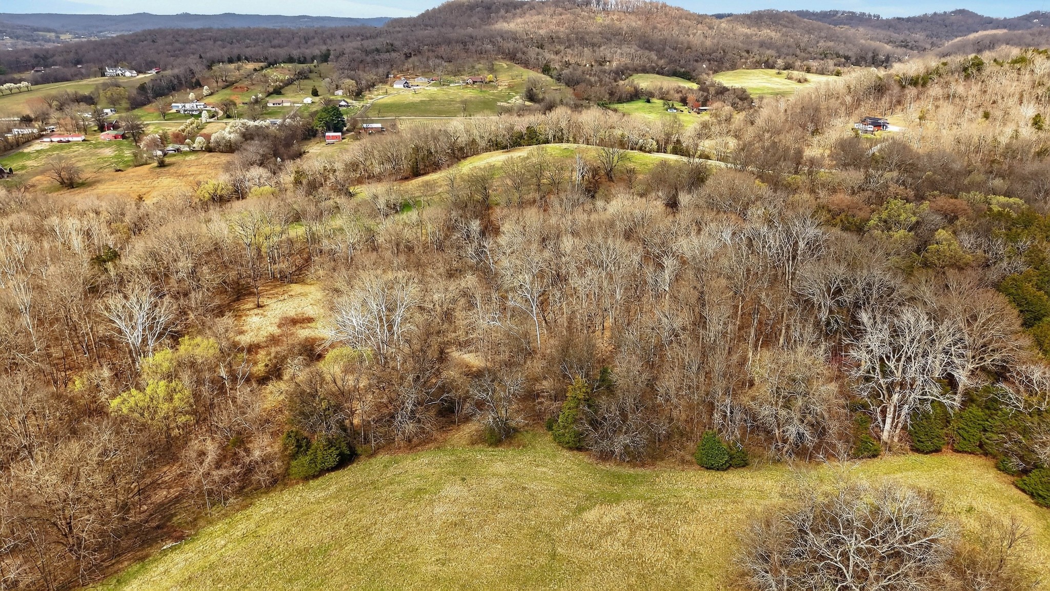 1289 Old Hopewell Road Bethpage, TN 37022 - Photo 51 of 57