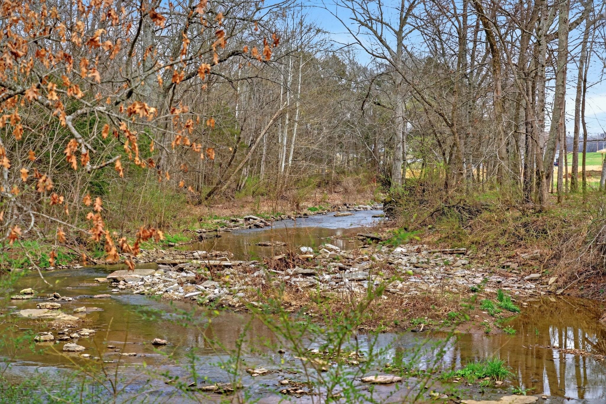1289 Old Hopewell Road Bethpage, TN 37022 - Photo 6 of 57