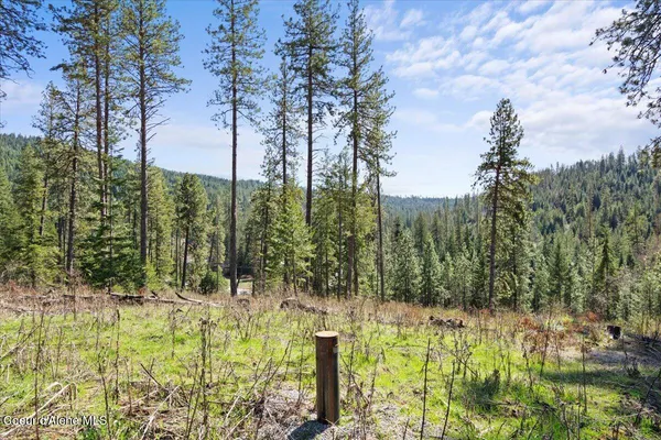 $295,000 | 97 Highway 97, Harrison, ID 83833