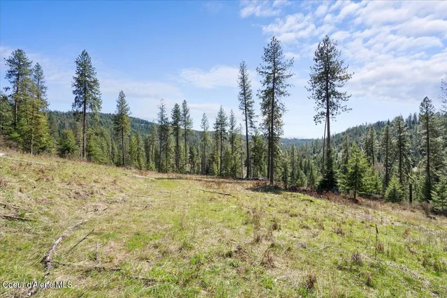 $300,000 | 97 Highway 97, Harrison, ID 83833
