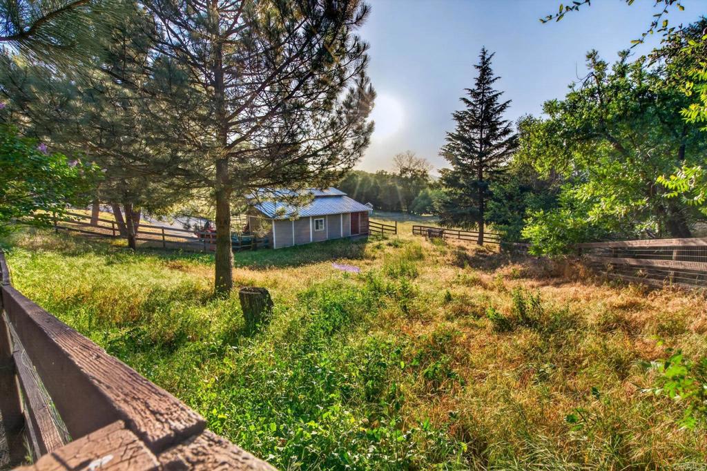 25350 Mesa Grande Road Santa Ysabel, CA 92070 - Photo 39 of 55 a view of a garden with plants