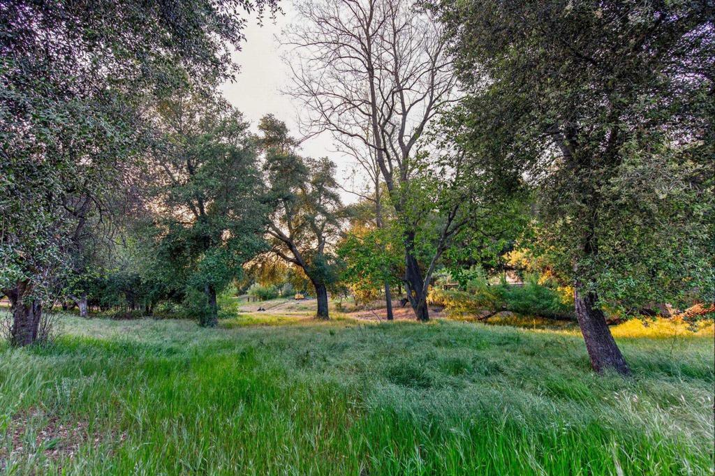 25350 Mesa Grande Road Santa Ysabel, CA 92070 - Photo 48 of 55 a view of outdoor space with deck and trees
