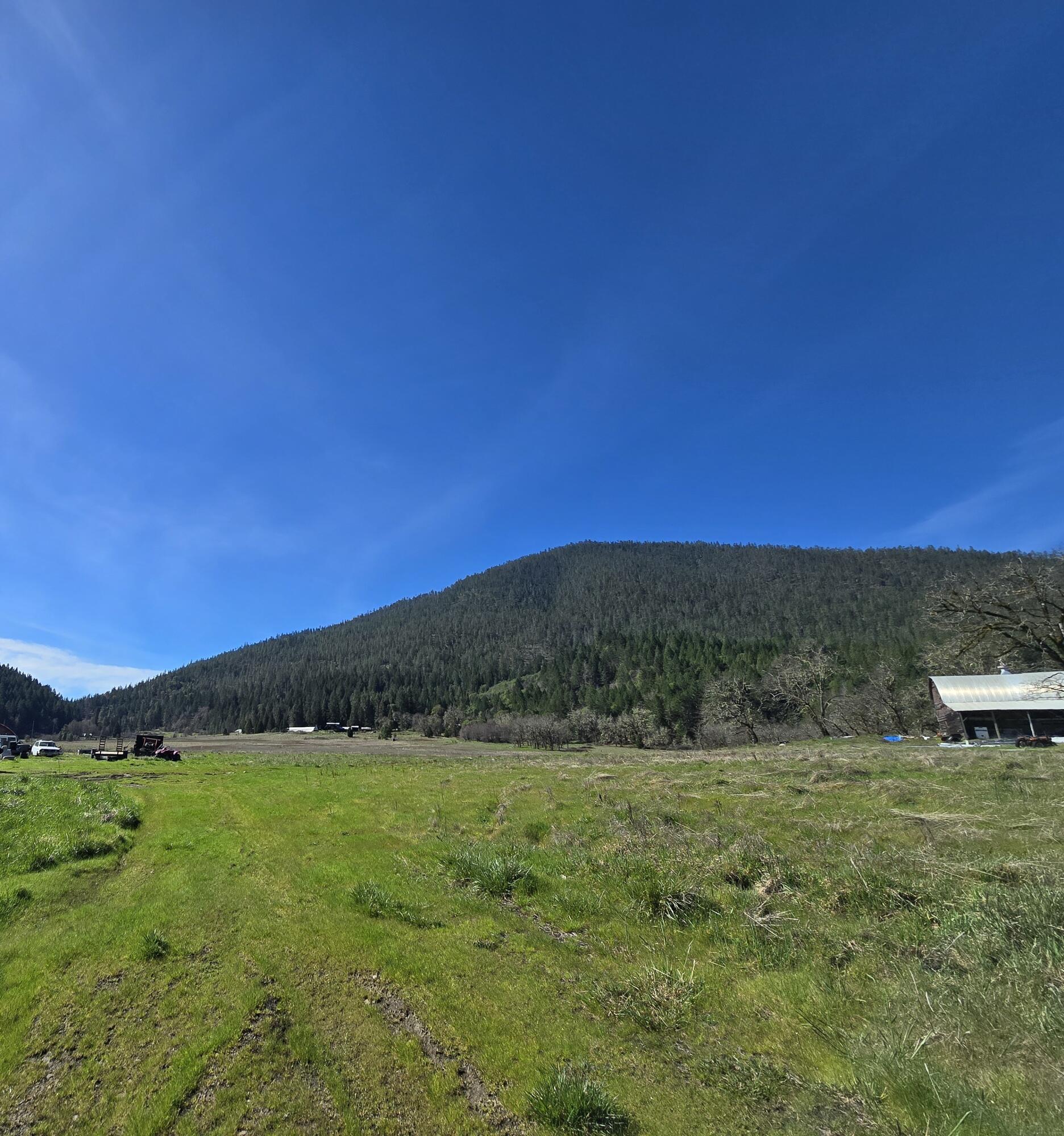 147 Warren Road Selma, OR 97538 - Photo 15 of 16 a view of a field with an ocean