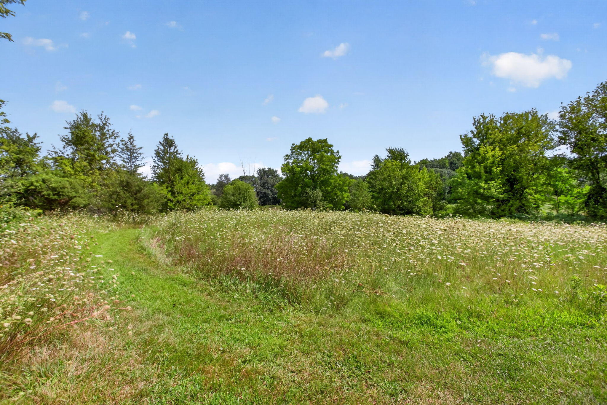 11155 Gates Road Cement City, MI 49233 - Photo 90 of 98 75-web-or-mls-IMG_9733