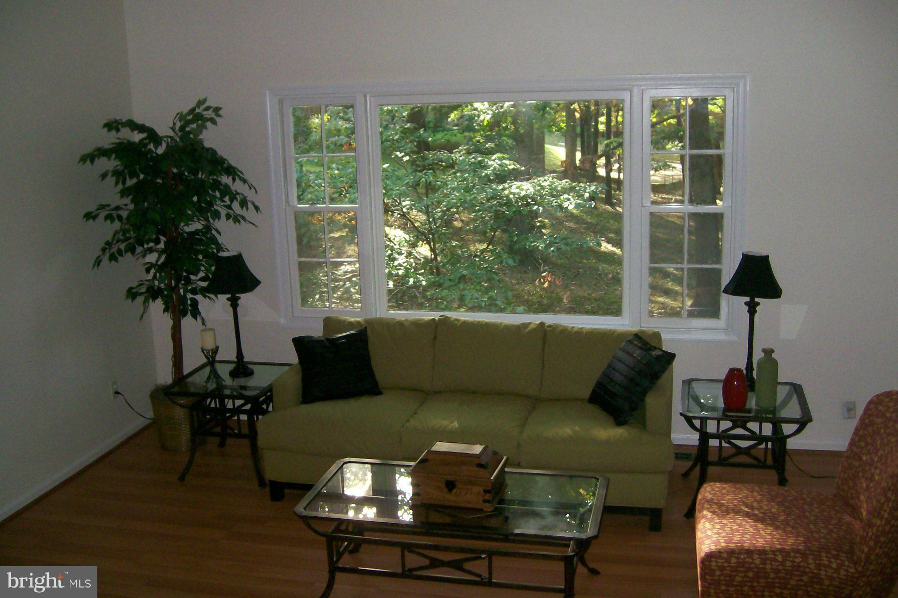 5914 Prince James Drive, Unit 76 Springfield, VA 22152 - Photo 4 of 9 Living Room