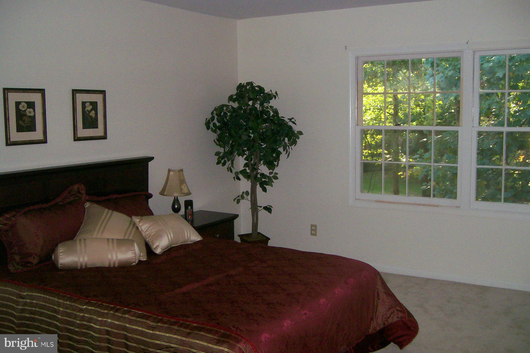 5914 Prince James Drive, Unit 76 Springfield, VA 22152 - Photo 5 of 9 Bedroom (Master)