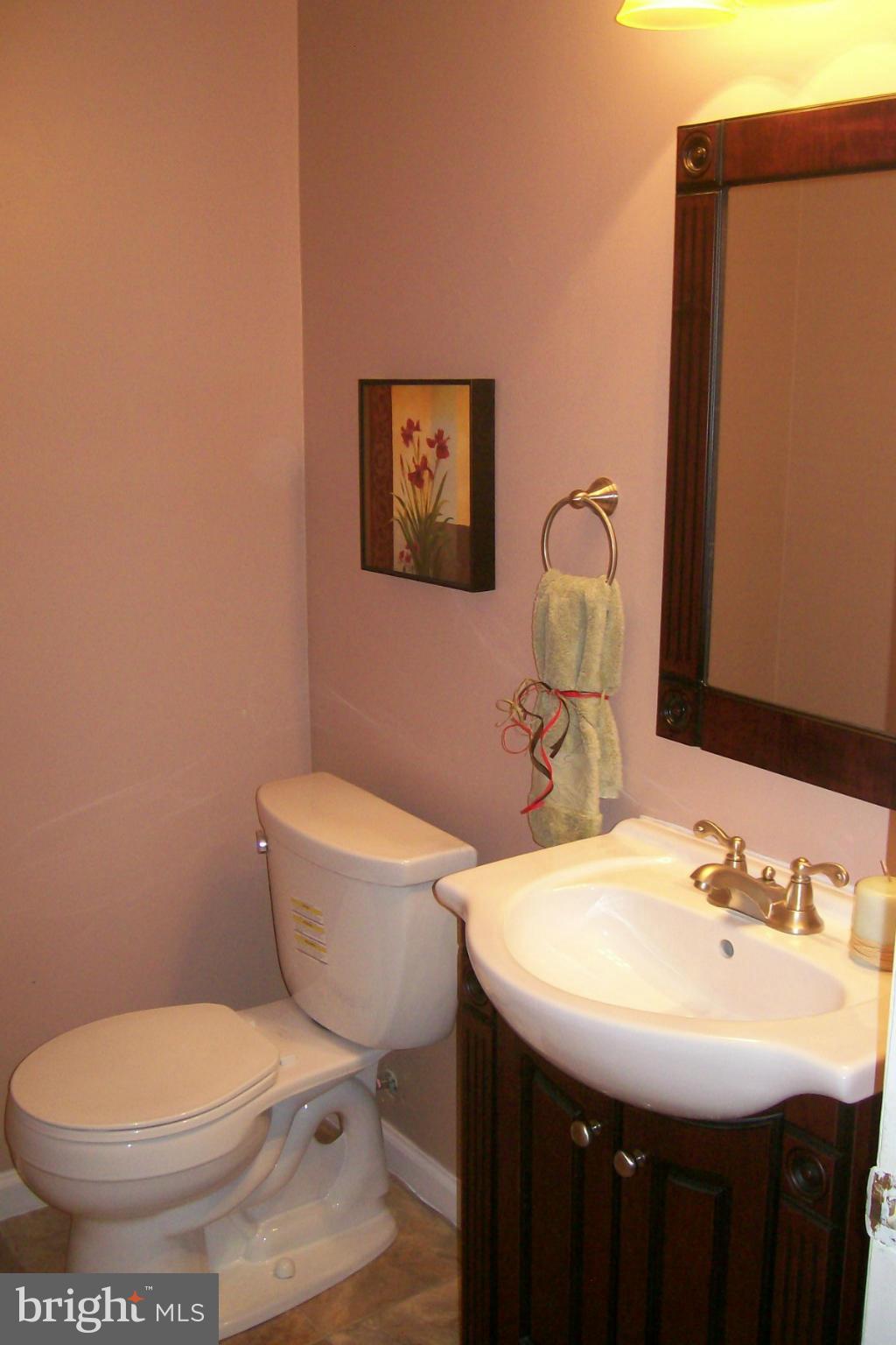 5914 Prince James Drive, Unit 76 Springfield, VA 22152 - Photo 6 of 9 Bath
