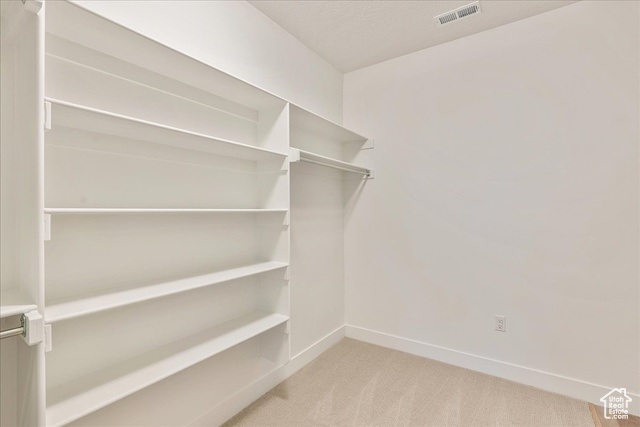 2033 Fortune Lane, Unit 462 Mapleton, UT 84664 - Photo 19 of 27 Primary walk-in closet