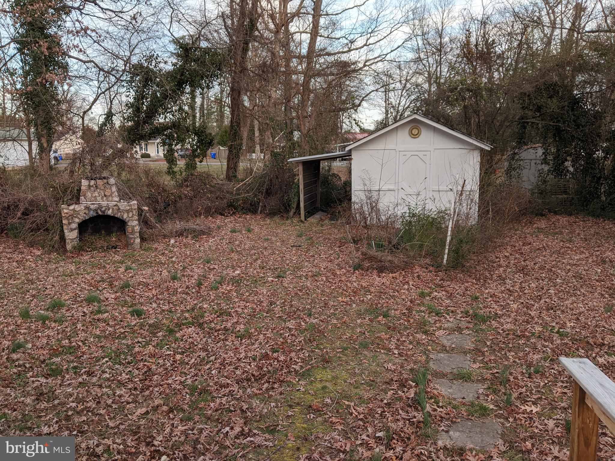 Rear lawn and shed
