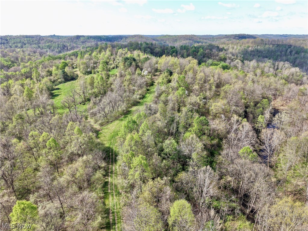 0 Harrons Ridge Road Dexter City, OH 45727 - Photo 10 of 29