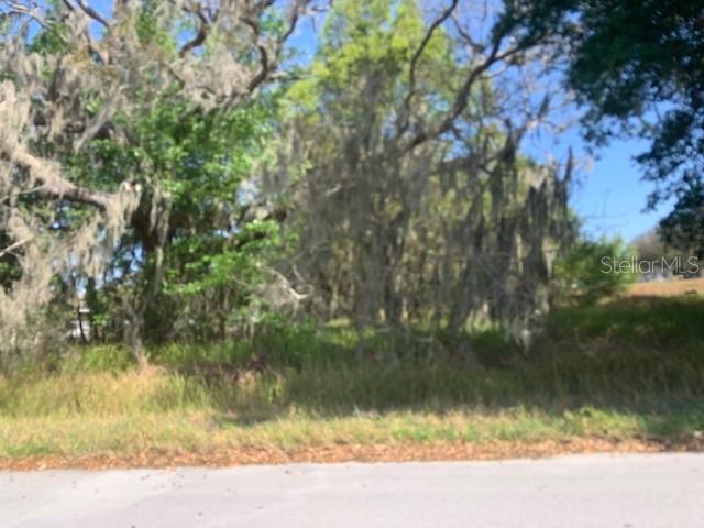 Tbd Willow Road Ocala, FL 34472 - Photo 1 of 1 Gallery Image 1