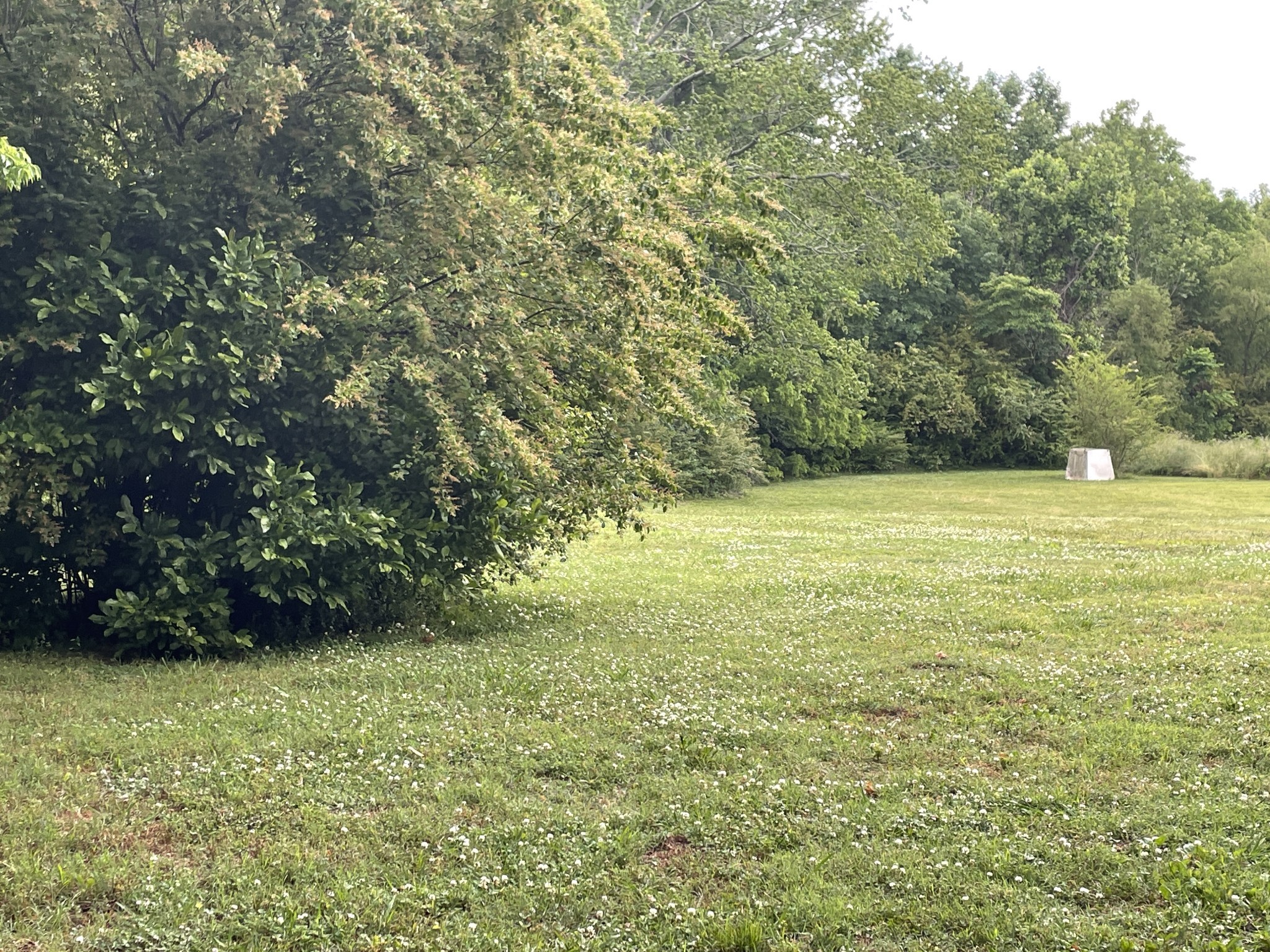 828 Rabbit Trail Road Five Points, TN 38457 - Photo 3 of 16 a view of an outdoor space and a yard