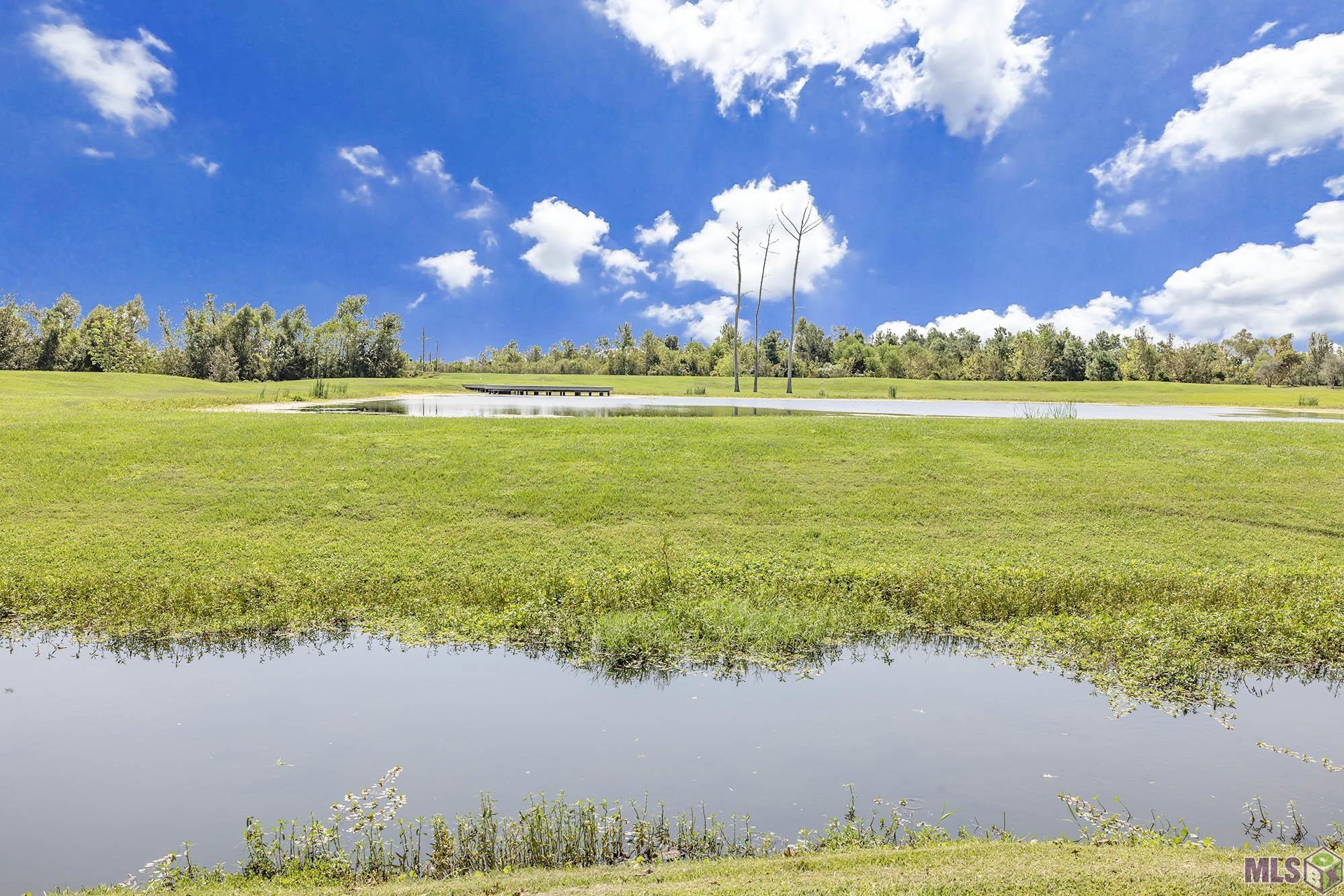 178 Vi Drive Houma, LA 70360 - Photo 11 of 48