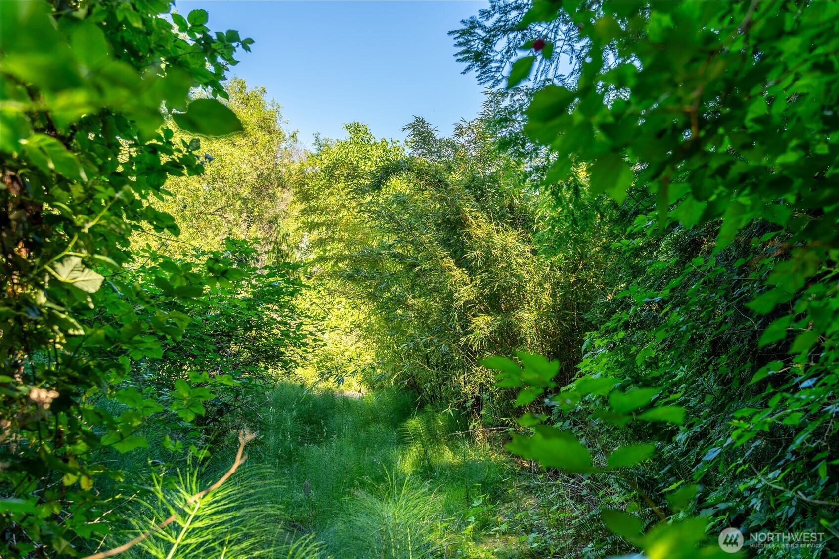 0 East Heggeness Road Clinton, WA 98236 - Photo 15 of 19 a view of a lush green space