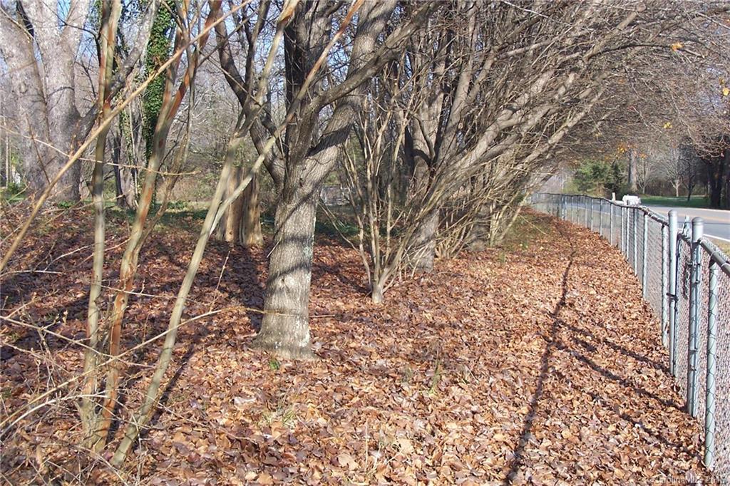 378 Mountain Creek Road Rutherfordton, NC 28139 - Photo 4 of 24