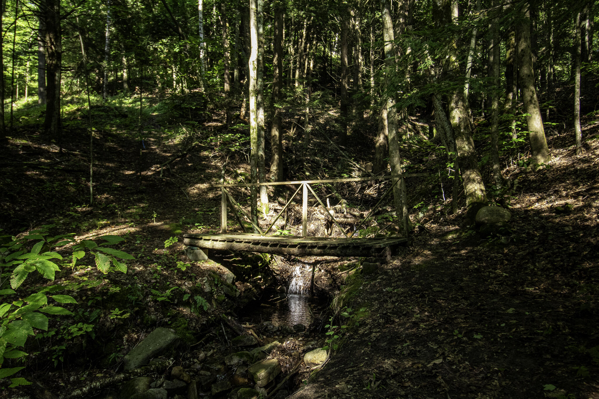 735 Highland Road Keeseville, NY 12944 - Photo 63 of 80 Wilson - Highlands Rd - kelly photo - br