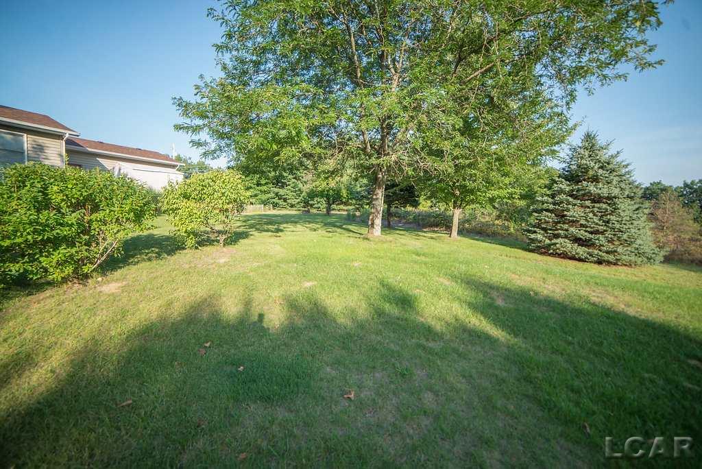 2701 East Carleton Road Adrian, MI 49221 - Photo 10 of 40