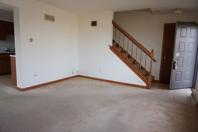 754 Lake Road, Unit 754 New Lenox, IL 60451 - Photo 7 of 15