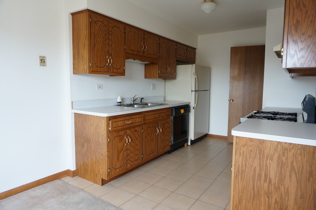 754 Lake Road, Unit 754 New Lenox, IL 60451 - Photo 9 of 15